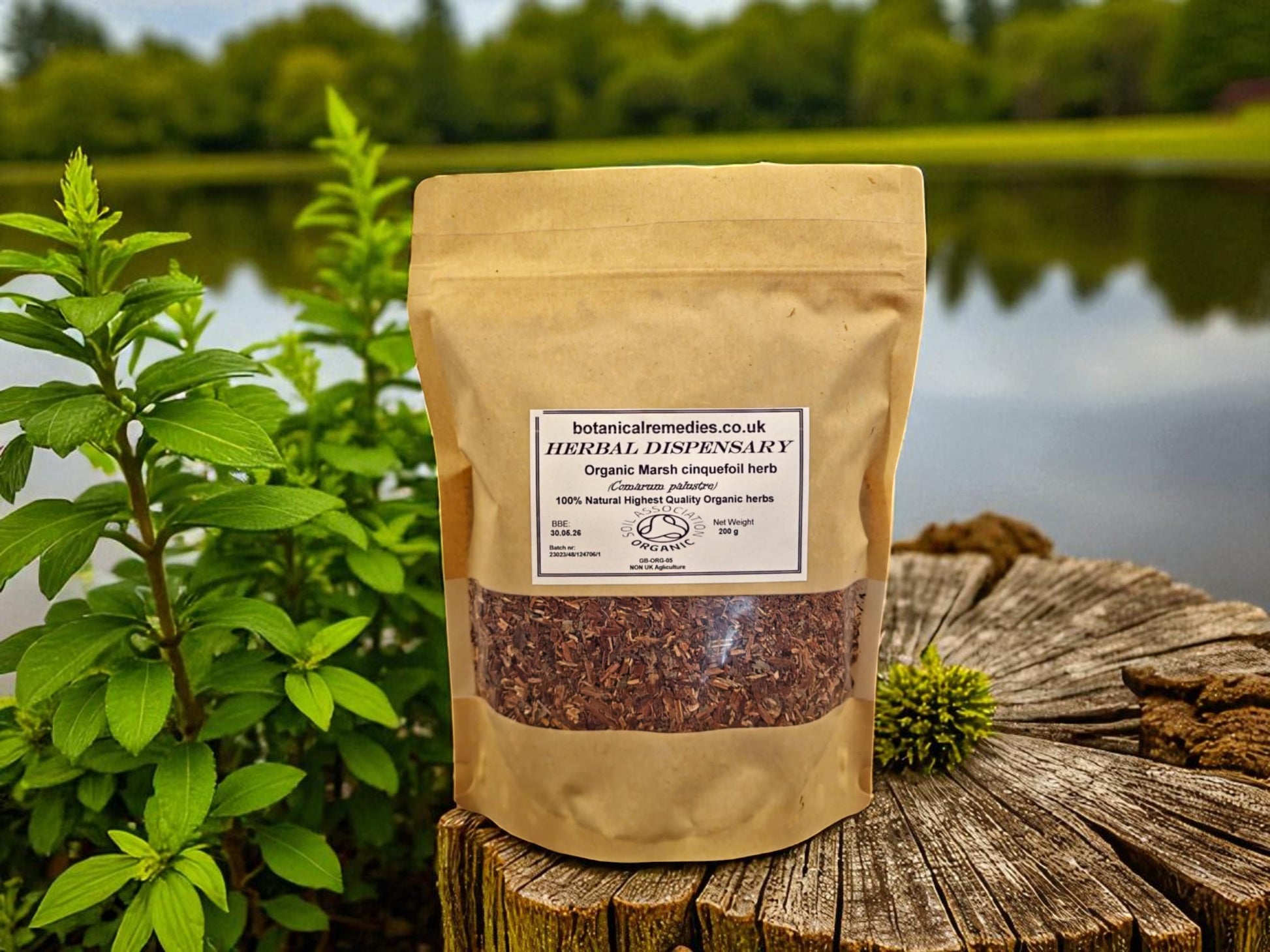 zipped PE bag with 200 grams of Organic marsh cinquefoil herb from Botanical Remedies herbal dispensary, an herbal remedy, loose herbal tea