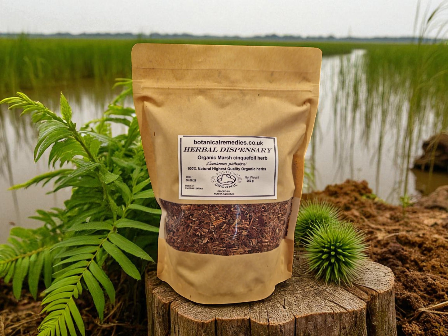 zipped PE bag with 250 grams of Organic marsh cinquefoil herb from Botanical Remedies herbal dispensary, an herbal remedy, loose herbal tea
