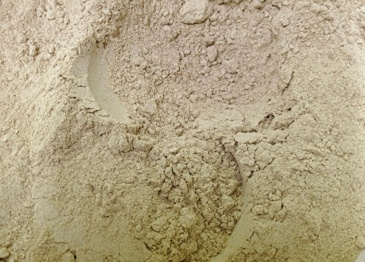 An extreme close-up of finely milled, light beige Organic Marshmallow root bulk powder. This non-GMO herbal remedy from Botanical Remedies is used by herbalists for soothing skin and digestive preparations.