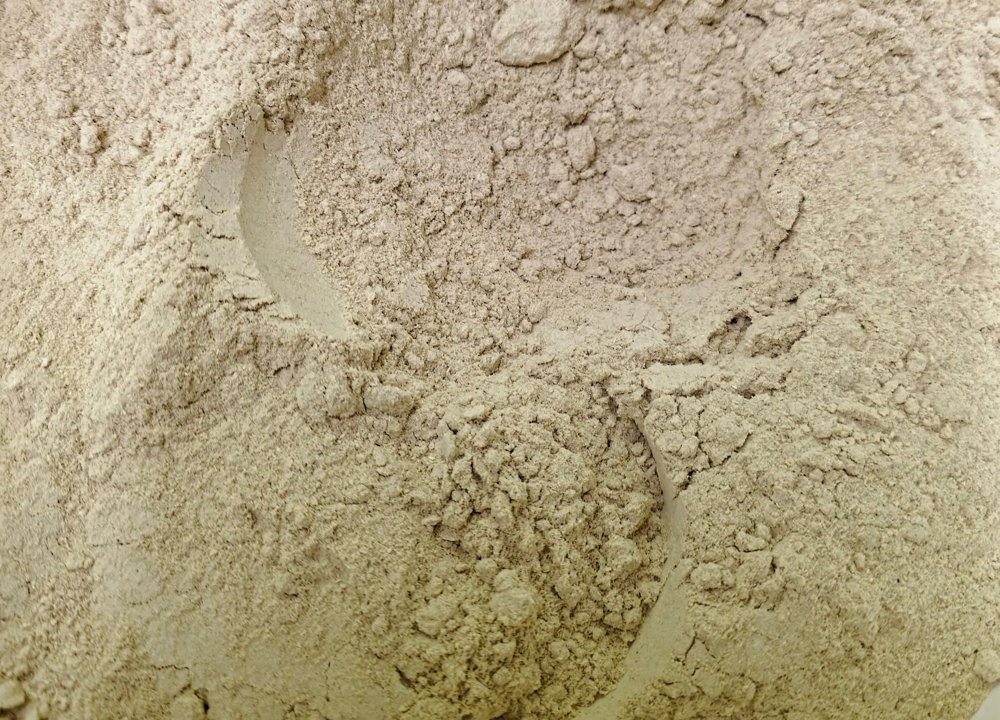 An extreme close-up of finely milled, light beige Organic Marshmallow root bulk powder. This non-GMO herbal remedy from Botanical Remedies is used by herbalists for soothing skin and digestive preparations.