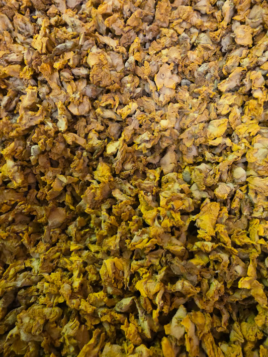 close up of dried Organic Mullein flowers, an herbal remedy from Botanical Remedies herbal dispensary, loose herbal tea