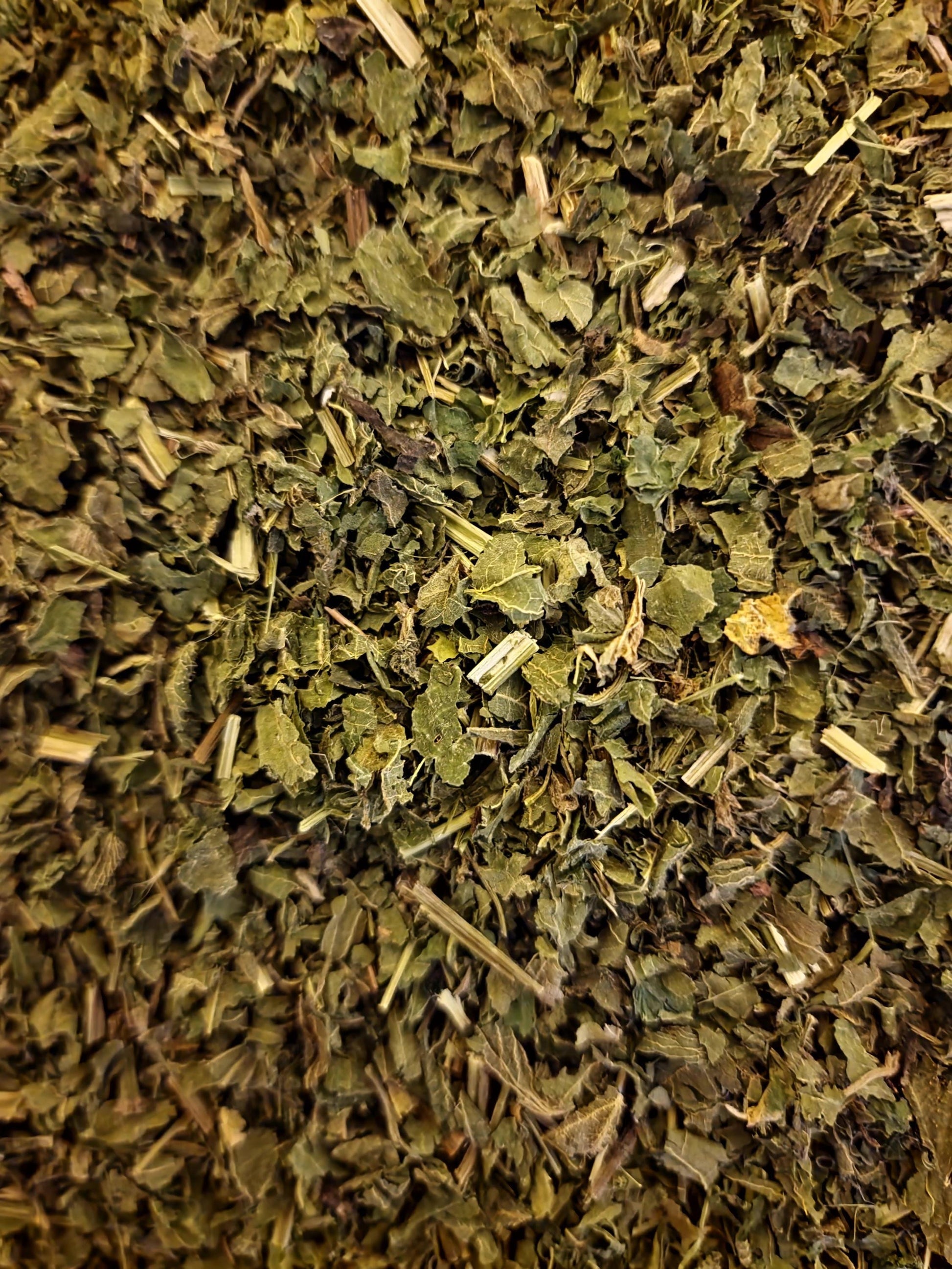 close up of Organic Nettle herb from Botanical Remedies herbal dispensary, an herbal remedy, loose herbal tea