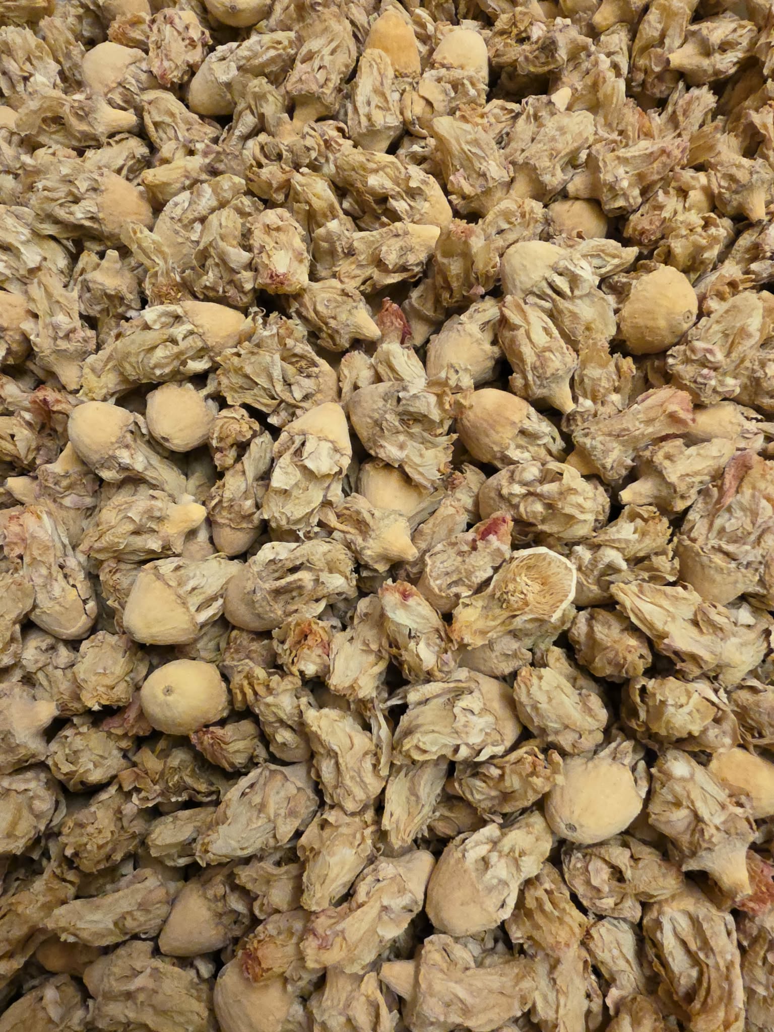 close up of dried Organic Prickly per flowers, an herbal remedy from Botanical Remedies herbal dispensary, loose herbal tea