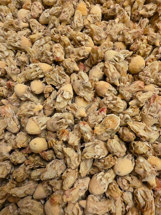 close up of dried Organic Prickly per flowers, an herbal remedy from Botanical Remedies herbal dispensary, loose herbal tea