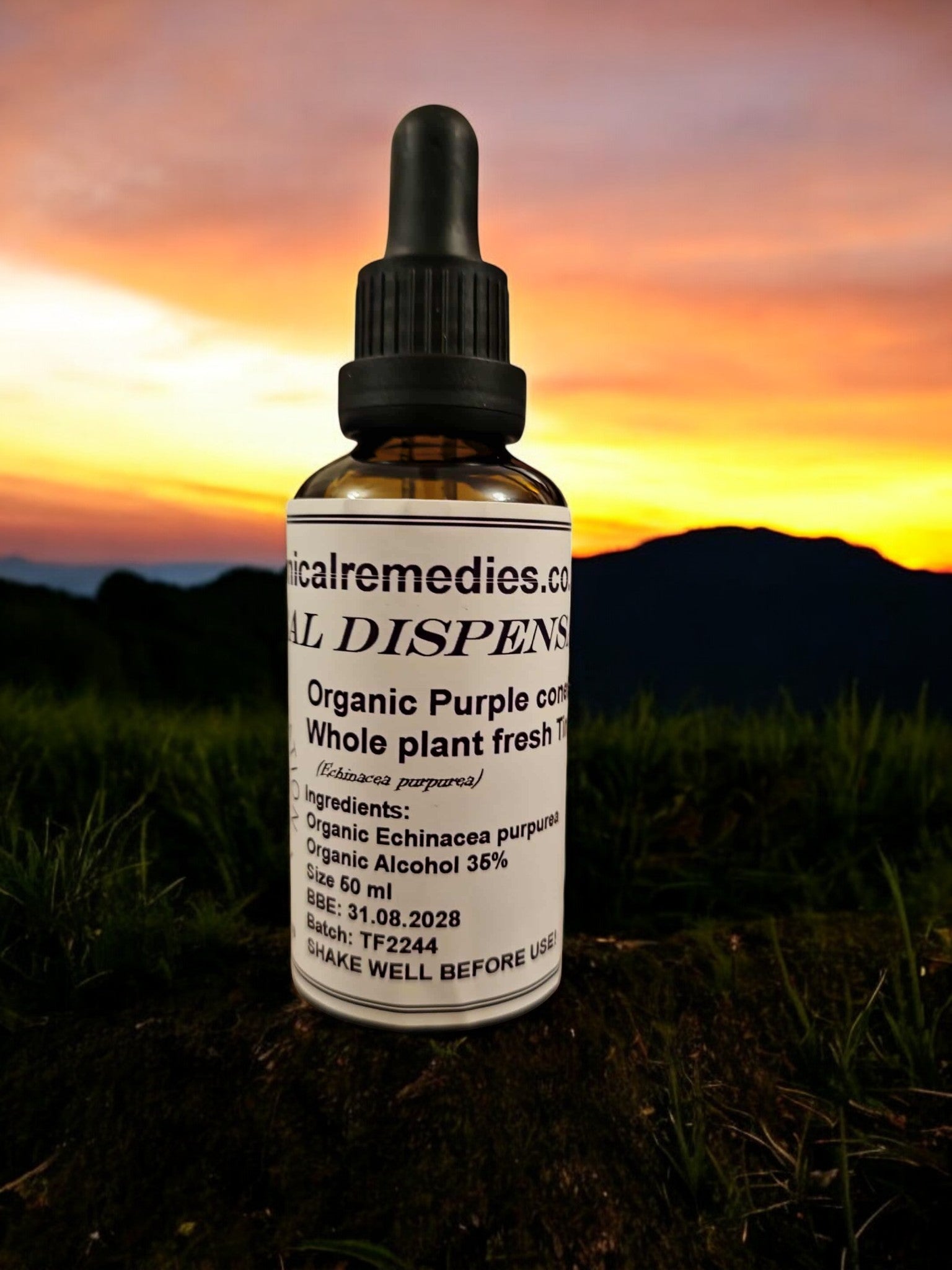 Bottle of organic purple coneflower Tincture (whole plant fresh), an herbal remedy from Botanical Remedies herbal dispensary