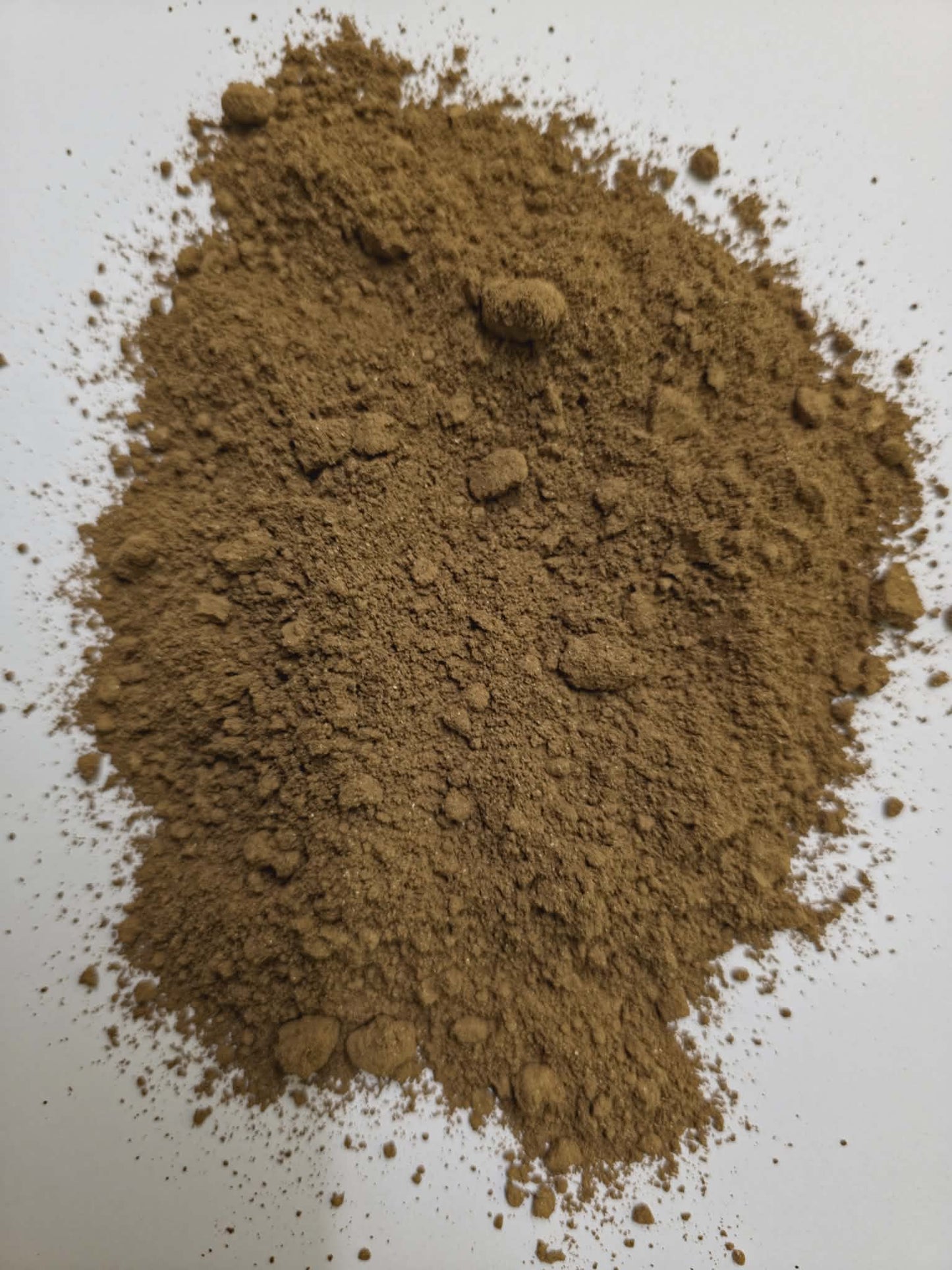 close up of Organic Reishi mushroom powder, an medicinal mushroom for sleep and immunity, all round support to whole body wellbeing