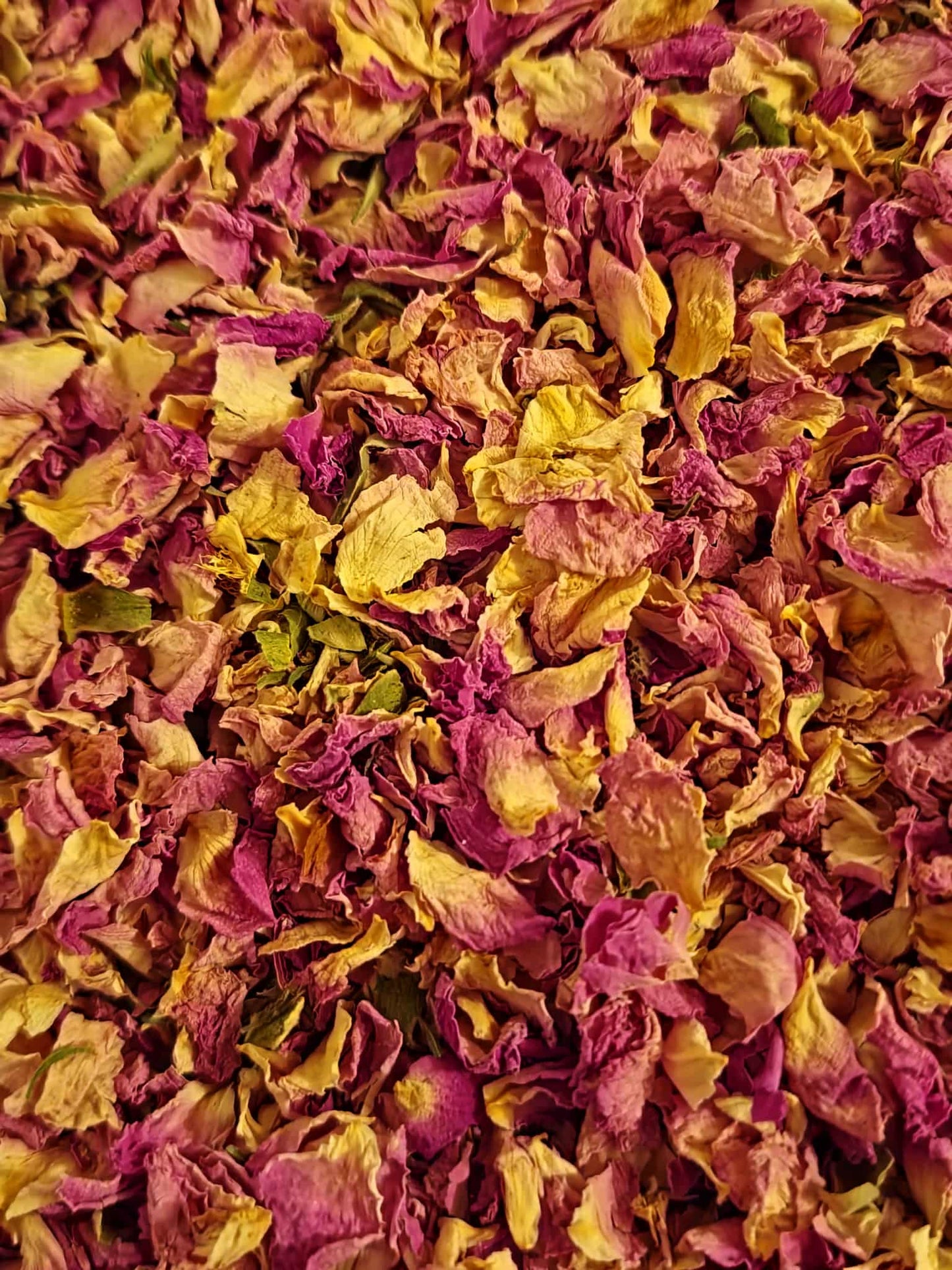 Close-up of dried Organic rose petals, Pink, Rosa damascena, an herbal remedy from Botanical Remedies herbal dispensary, loose herbal tea