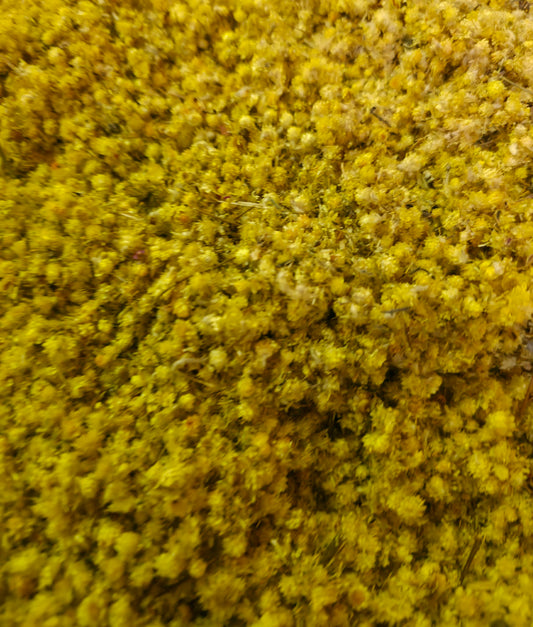 close up of dried Sandy Everlasting flowers, an herbal remedy from botanical Remedies herbal dispensary, loose herbal tea