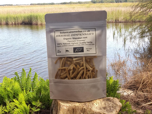 Package with Organic Shatavari root, loose herbal tea, an herbal remedy