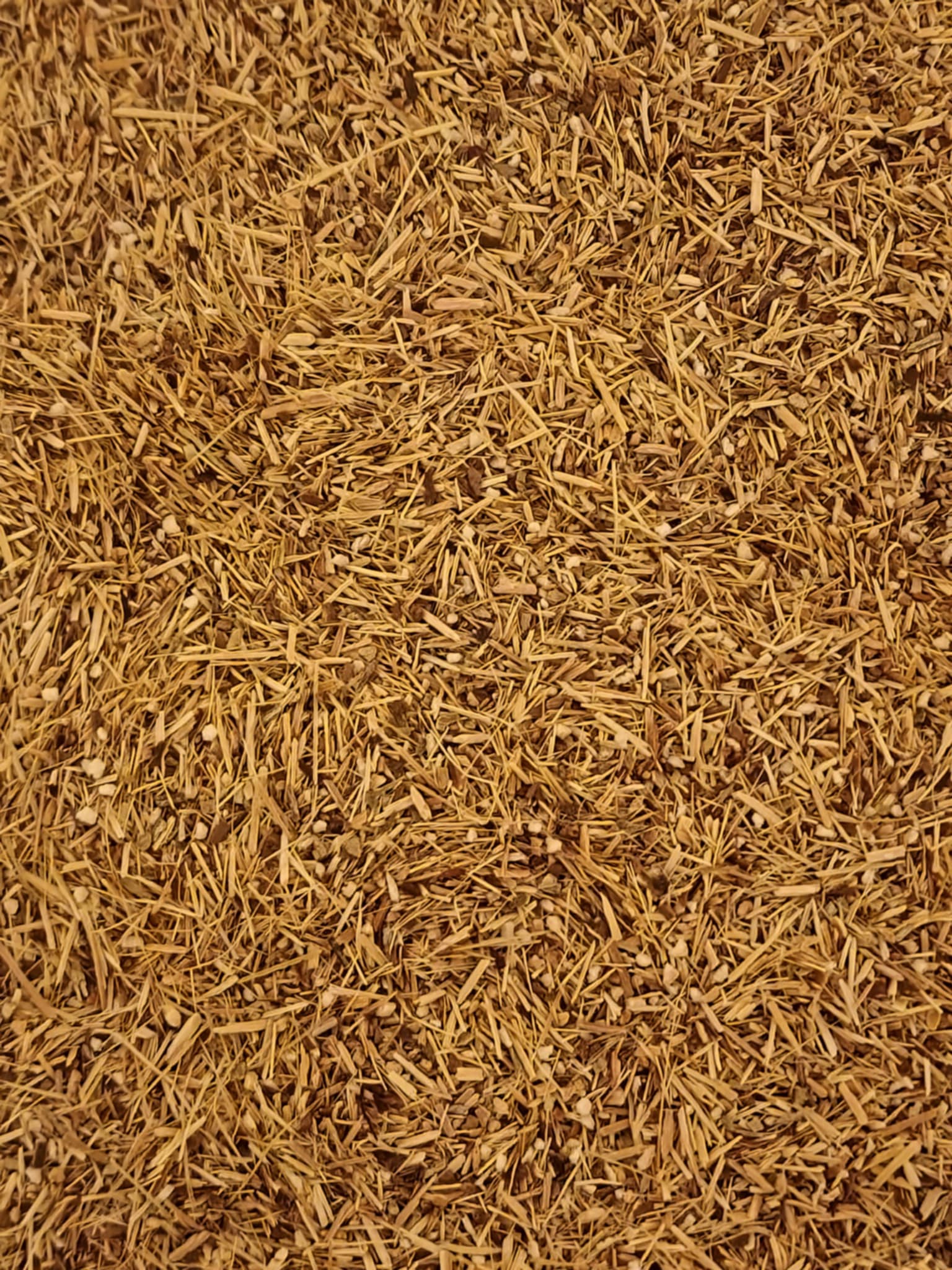 Close-up of a dried and cut Organic Siberian Ginseng root, loose herbal tea, an herbal remedy
