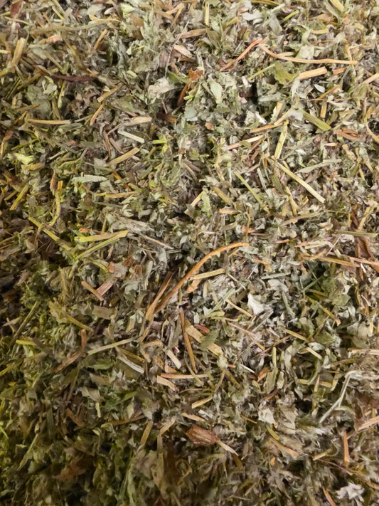 Close-up of dried and cut Organic Silverweed herb, an herbal remedy from Botanical Remedies herbal dispensary, lose herbal tea