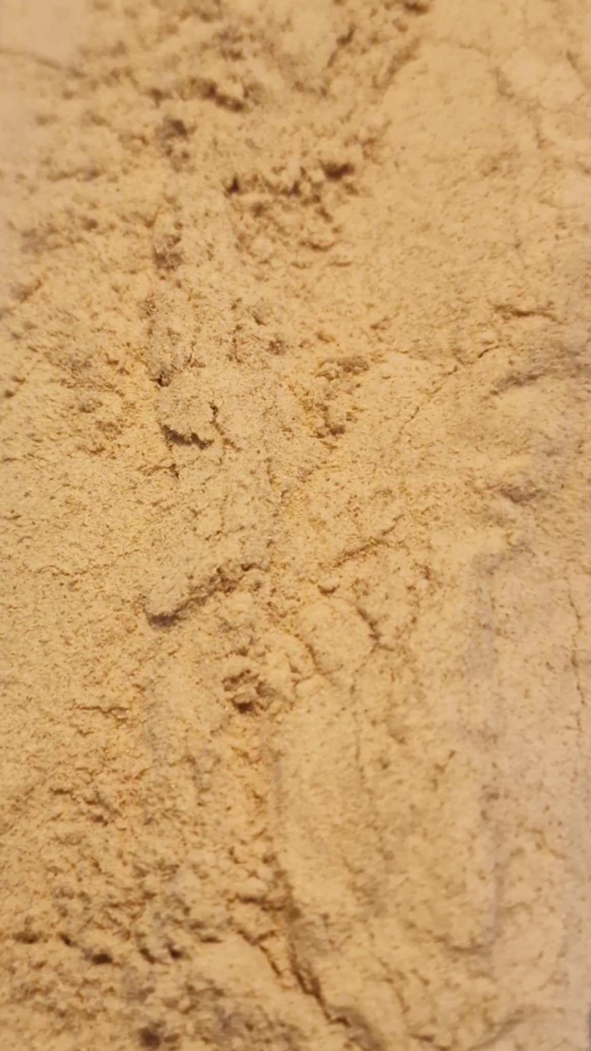 Organic slippery elm bark, dried and powdered, an herbal remedy