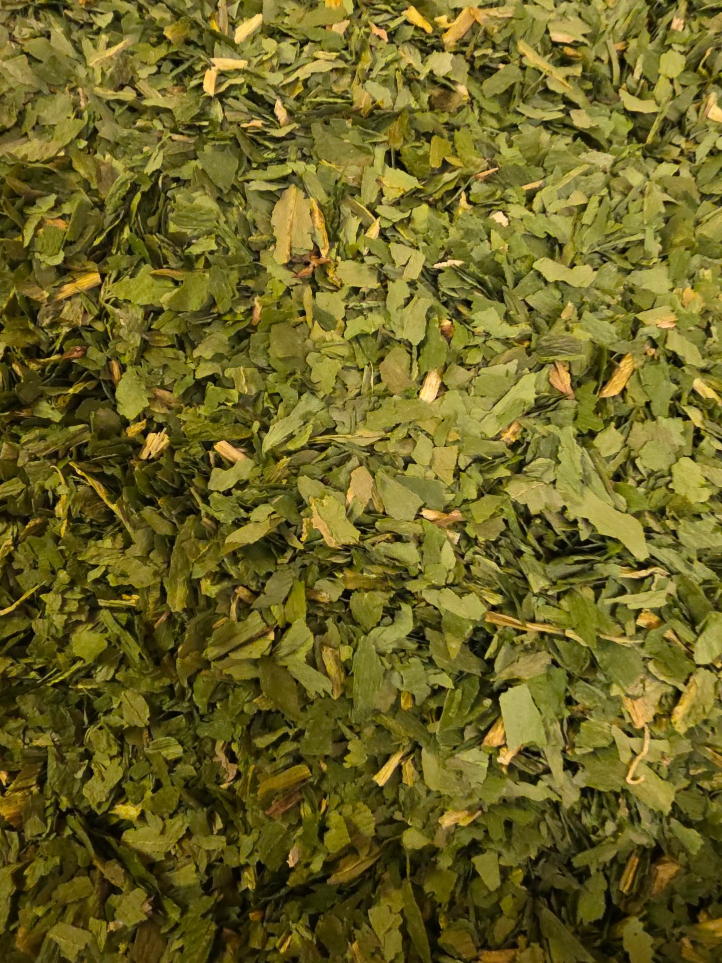 close up of dried and cut Organic Wild Garlic leaves, an herbal remedy from Botanical Remedies herbal dispensary, spice and loose herbal tea
