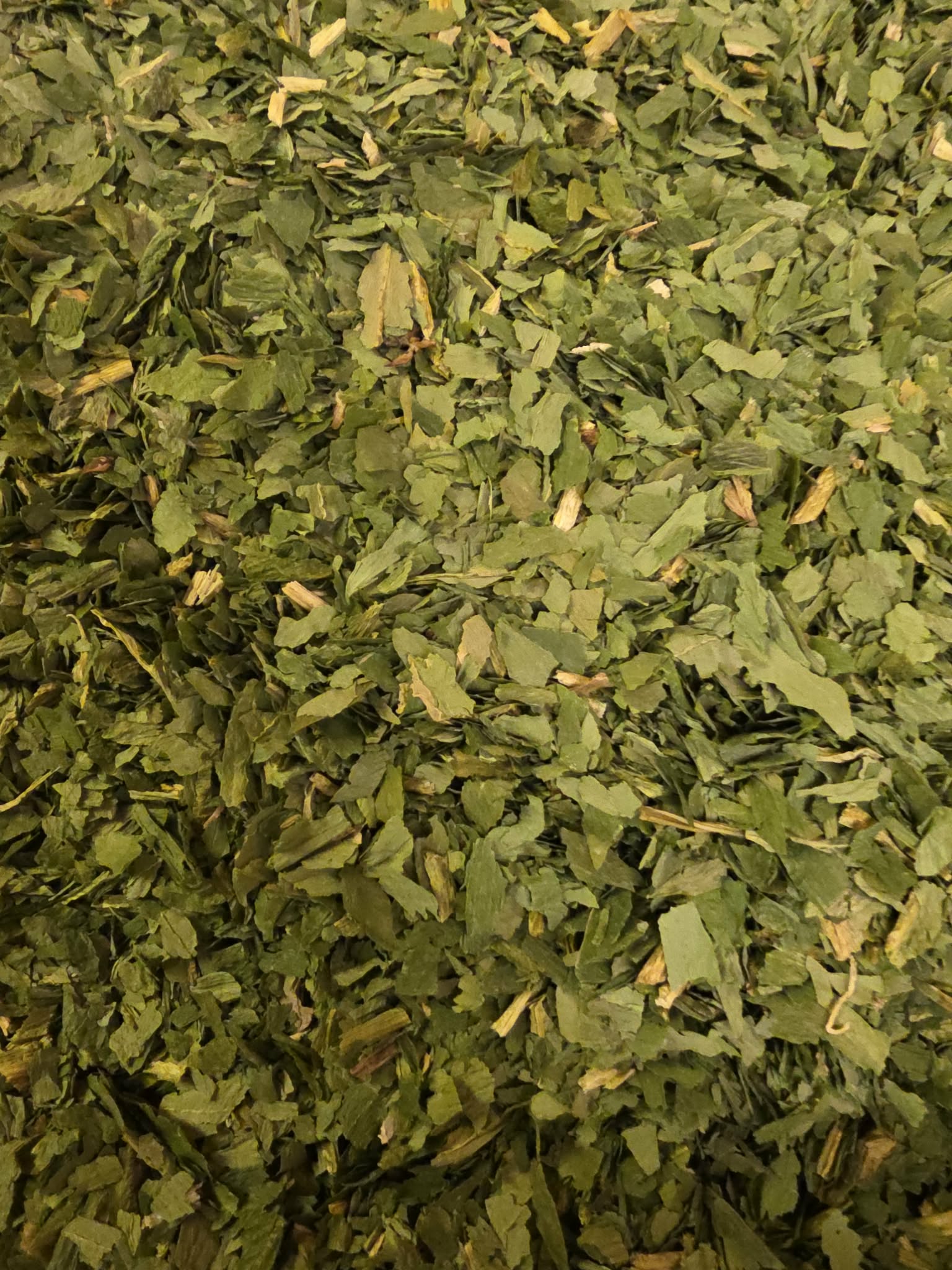 close up of dried and cut Organic Wild Garlic leaves, an herbal remedy from Botanical Remedies herbal dispensary, spice and loose herbal tea