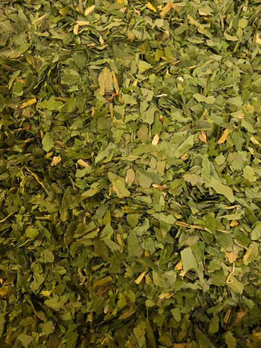 close up of dried and cut Organic Wild Garlic leaves, an herbal remedy from Botanical Remedies herbal dispensary, spice and loose herbal tea