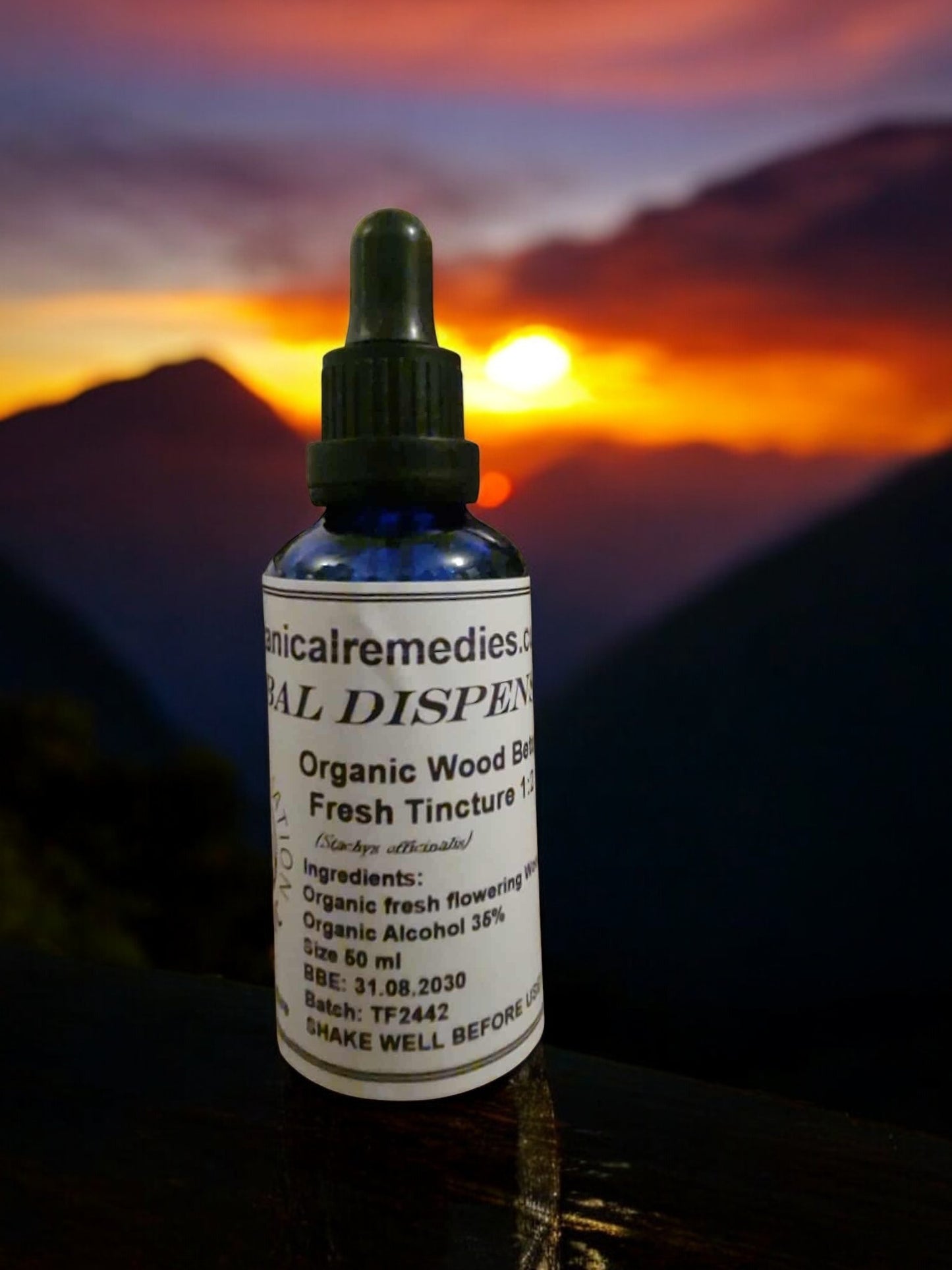 dropper bottle with Organic Wood betony tincture, an herbal remedy from Botanical Remedies herbal dispensary