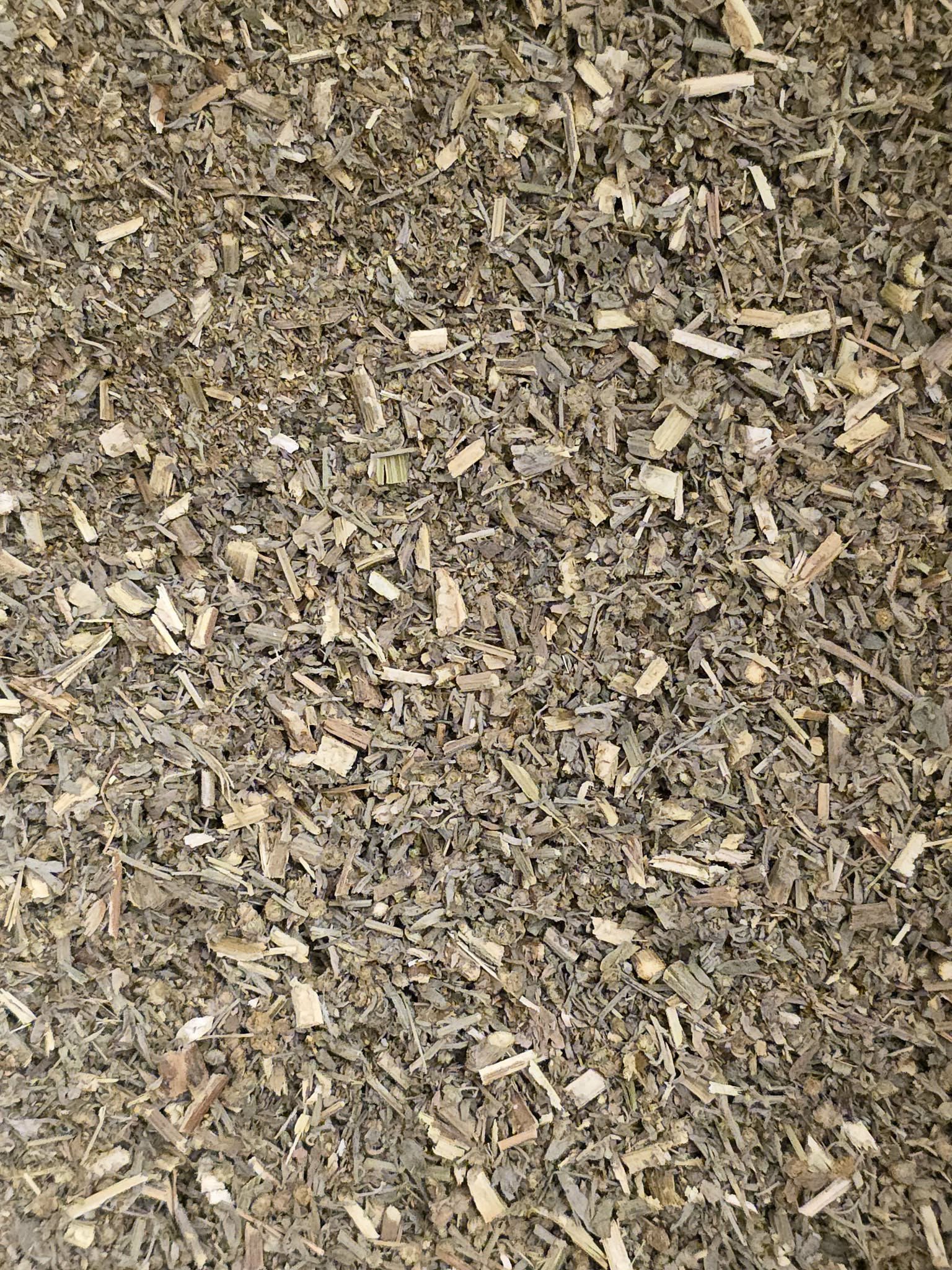 Close up of dried and cut Organic Wormwood herb, an herbal remedy from Botanical Remedies herbal dispensary, loose herbal tea