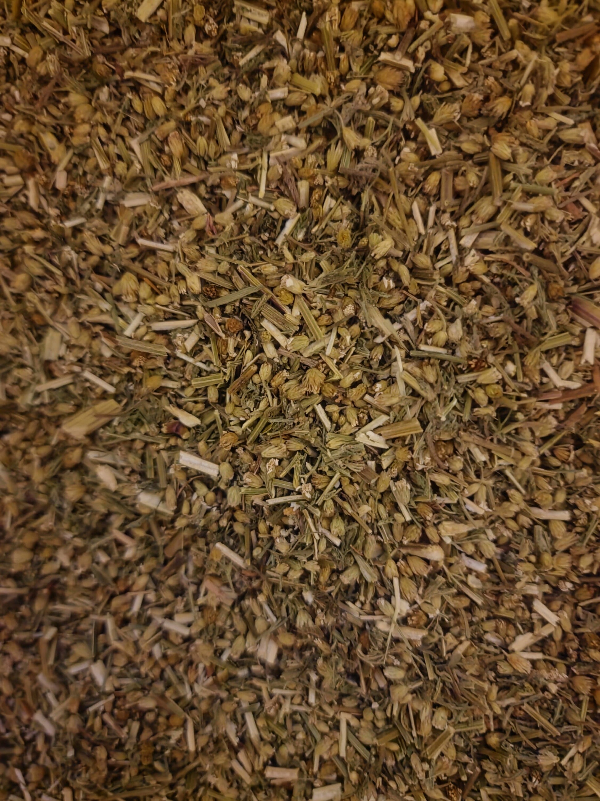 Organic Yarrow herb, dried and cut, an herbal remedy, loose herbal tea
