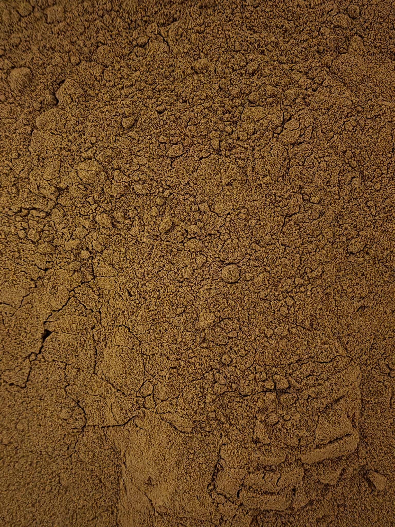 Close-up of Organic kelp fine granules, an superfood and herbal remedy from Botanical Remedies herbal dispensary