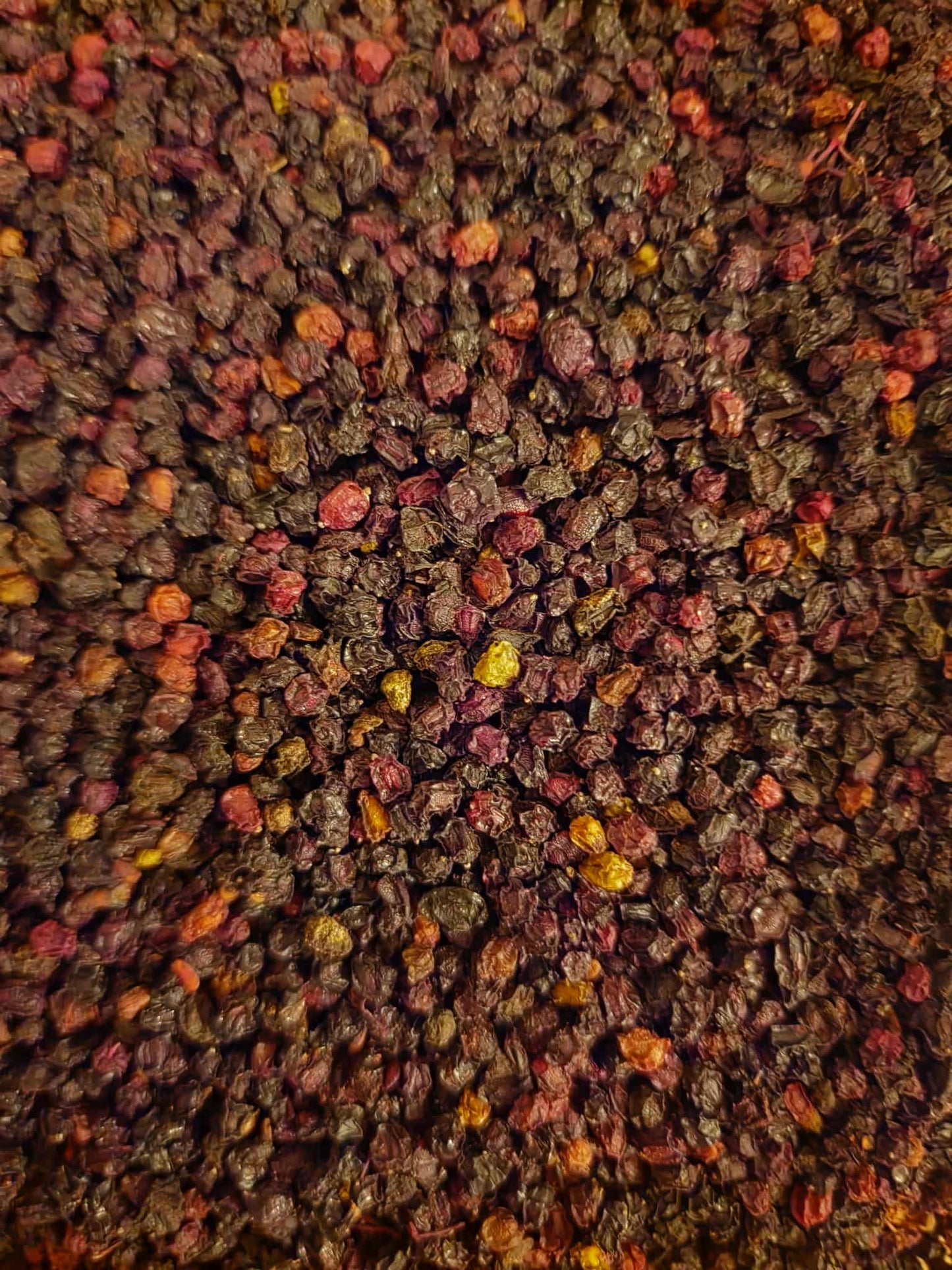 Close-up of Organic Elderberries from Botanical Remedies herbal dispensary, an herbal remedy, loose herbal tea