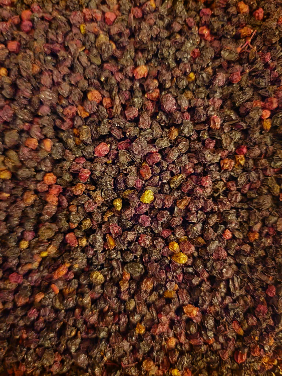 Soil Association Certified Organic FairWild dried whole Elderberries (Sambucus nigra) showing firm wrinkled black berries from Poland.