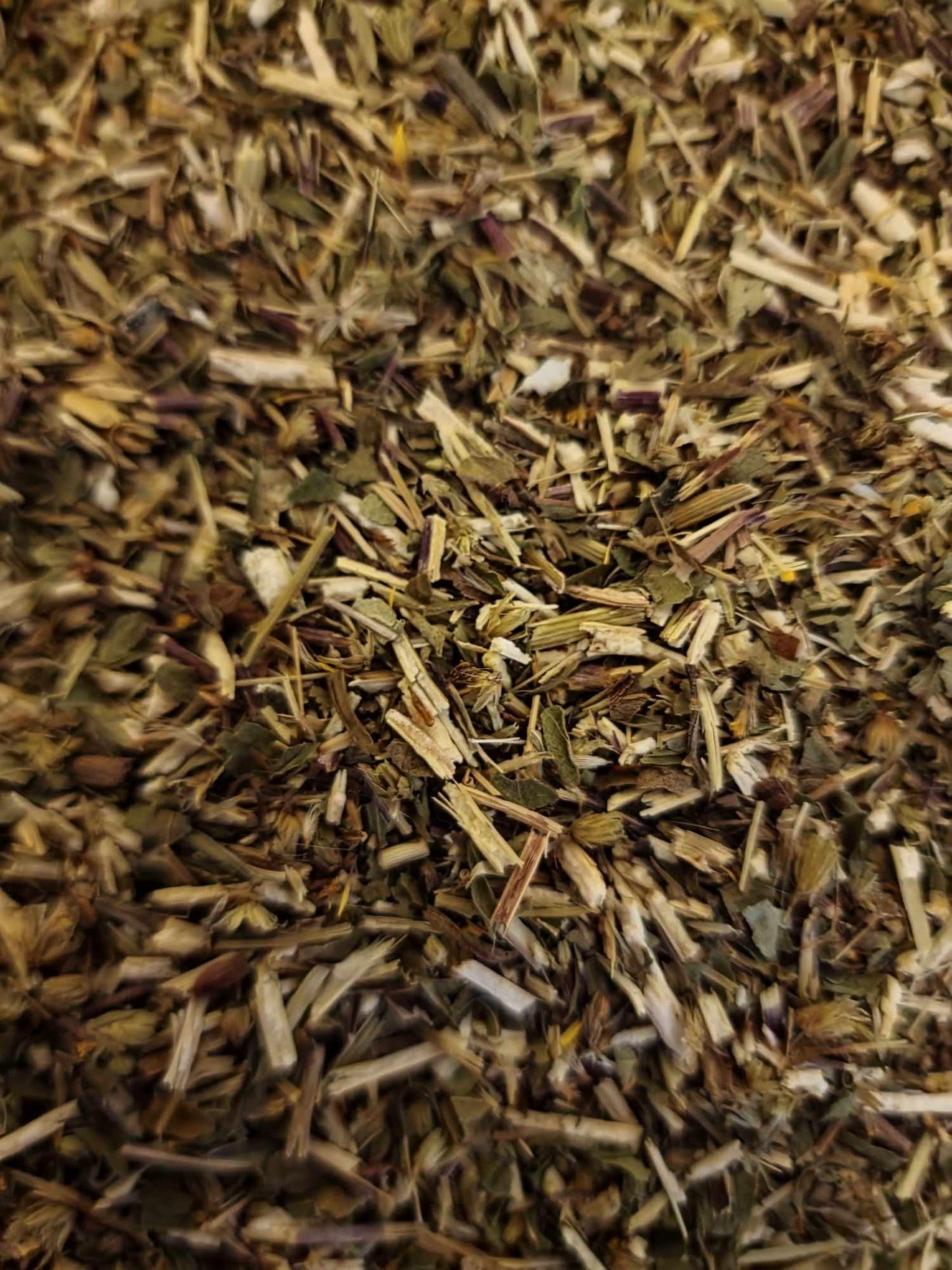 Organic Goldenrod herb, dried and cut, loose herbal tea, an herbal remedy