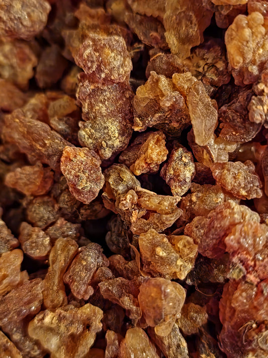 Close-up of amber-colored Myrrh resin pieces, an herbal remedy from Botanical remedies herbal dispensary.