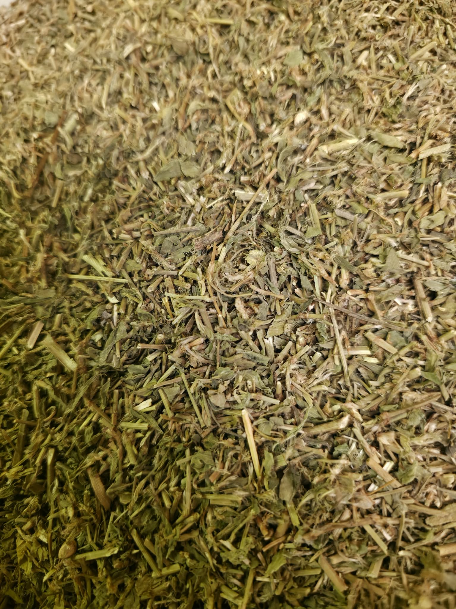 Close-up of dried and cut Organic-Prostrate knotweed herb, an herbal remedy from Botanical Remedies herbal dispensary, loose herbal tea