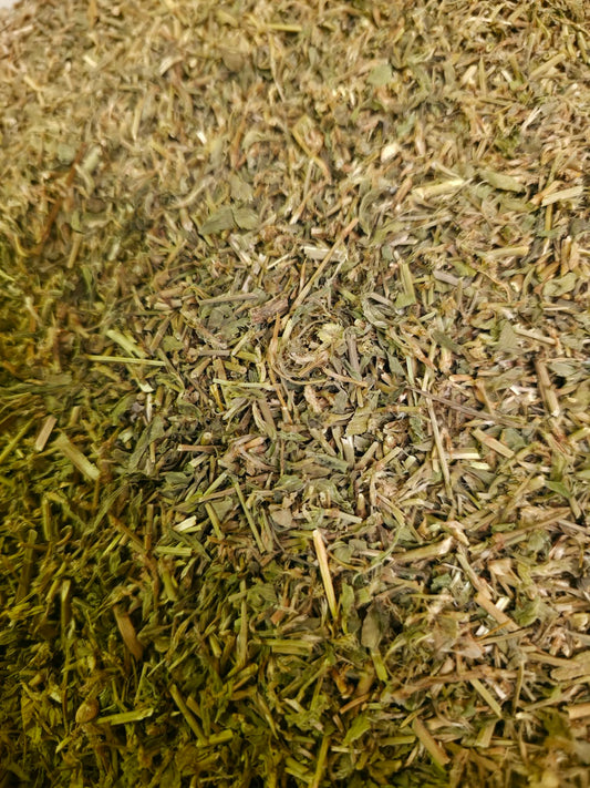 Close-up of dried and cut Organic-Prostrate knotweed herb, an herbal remedy from Botanical Remedies herbal dispensary, loose herbal tea