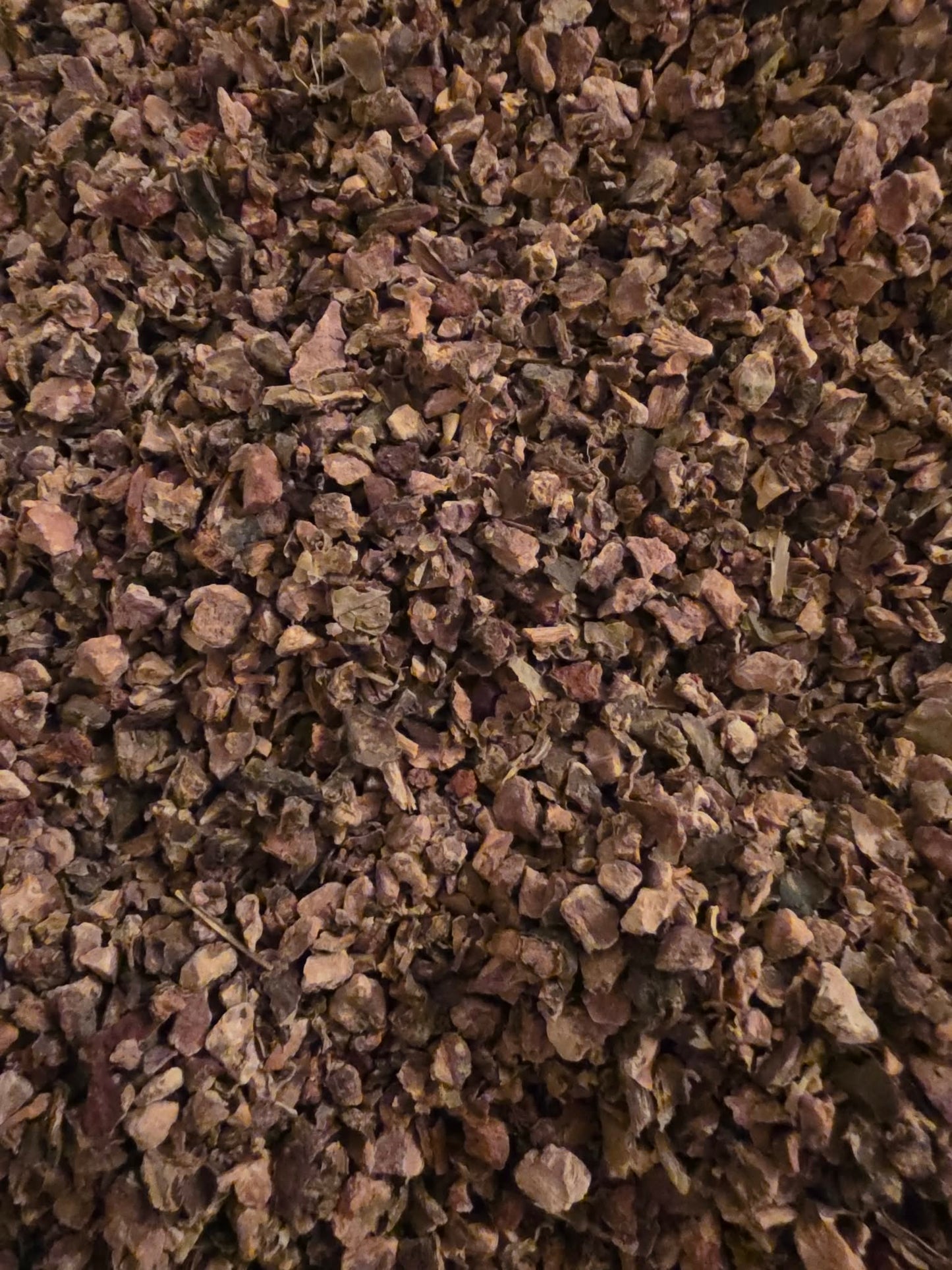 Close up of dried and cut Organic Rhodiola root, an herbal remedy from Botanical remedies herbal dispensary, loose herbal tea