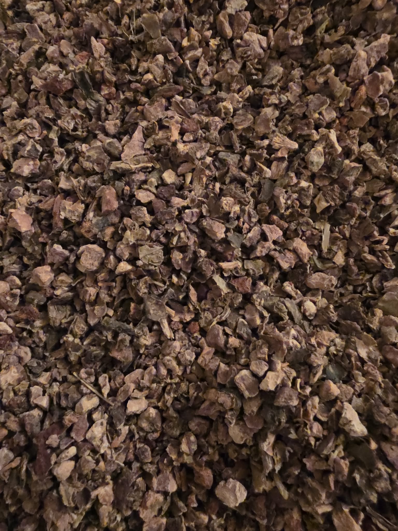 Close up of dried and cut Organic Rhodiola root, an herbal remedy from Botanical remedies herbal dispensary, loose herbal tea