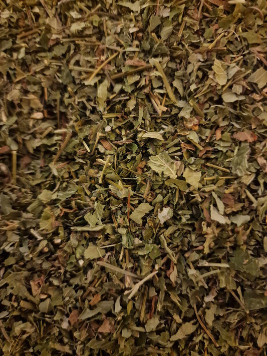 close up of Organic Wild Strawberry leaf from Botanical Remedies herbal dispensary, dried and cut, loose herbal tea, an herbal remedy