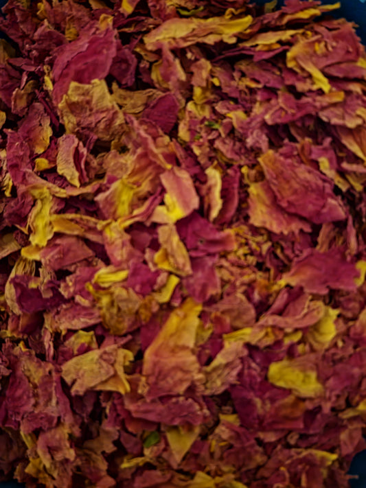 Peony petals, dried and loose, an herbal remedy, loose herbal tea