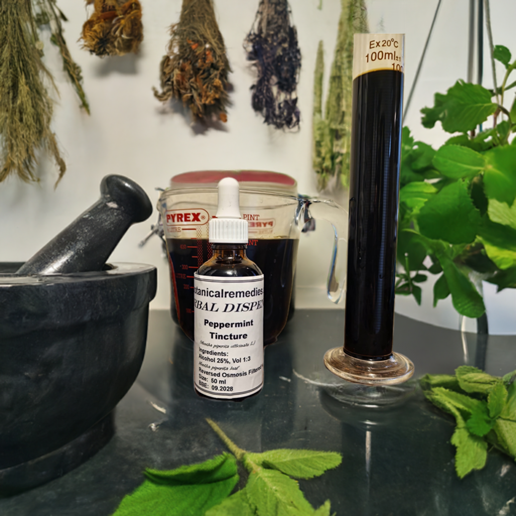 Peppermint Tincture (Mentha Piperita officinalis L.)