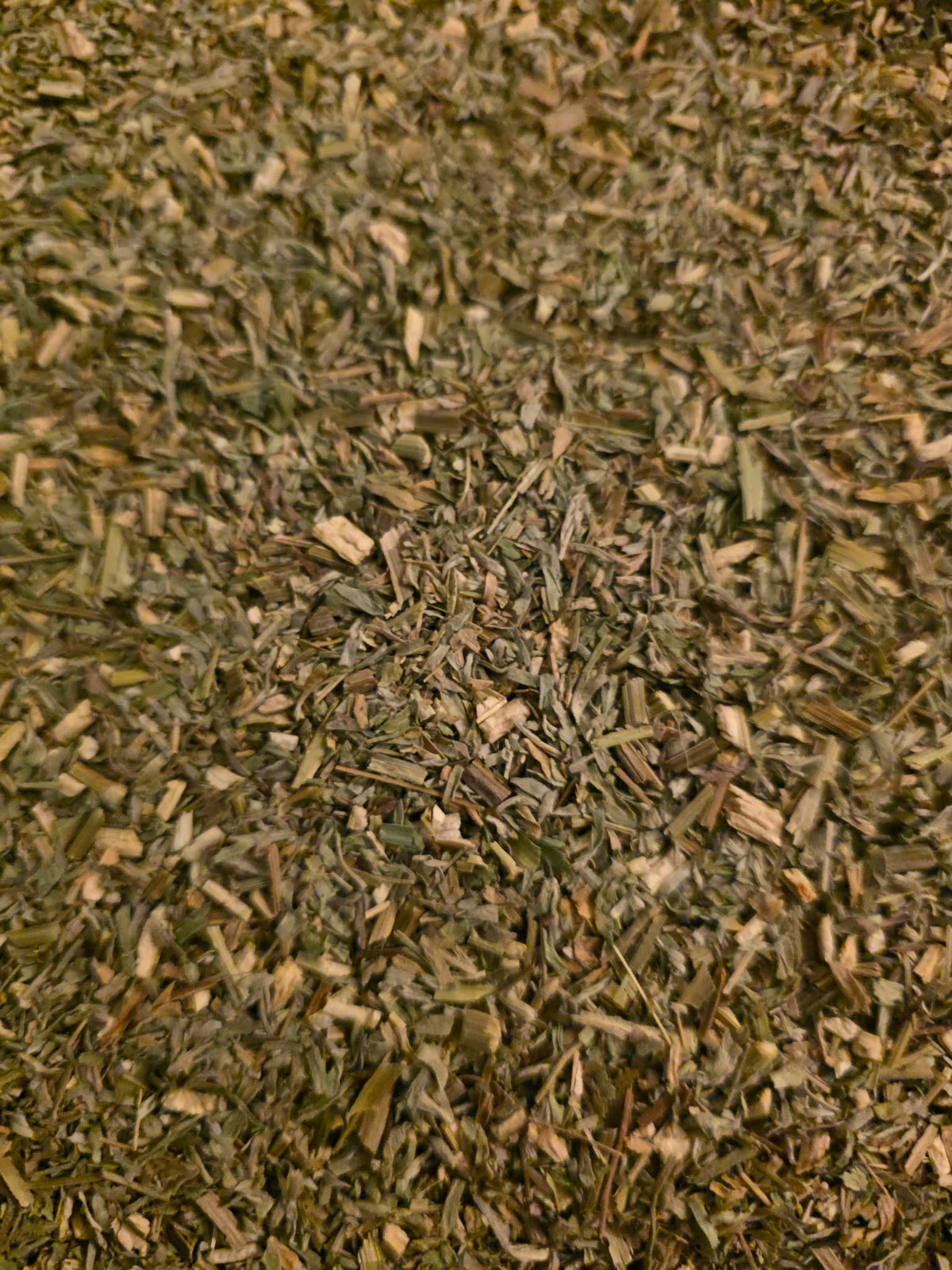Premium Wormwood Tea (Artemisia absinthium) High-Potency Botanical
