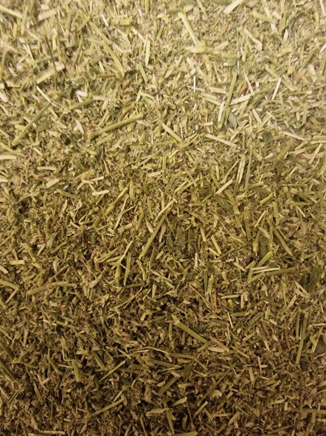 Prostrate knotweed herb dried and cut, loose herbal tea, an herbal remedy