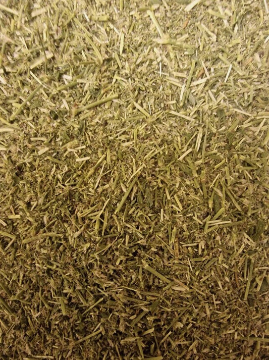 close up of Prostrate knotweed herb dried and cut, loose herbal tea, an herbal remedy from Botanical remedies herbal dispensary