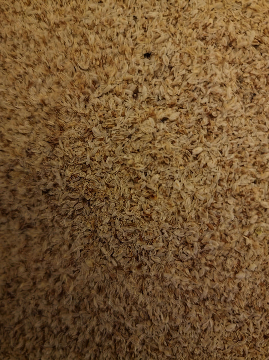 close up of Psyllium husk, an herbal remedy from Botanical Remedies, rich source of fibre