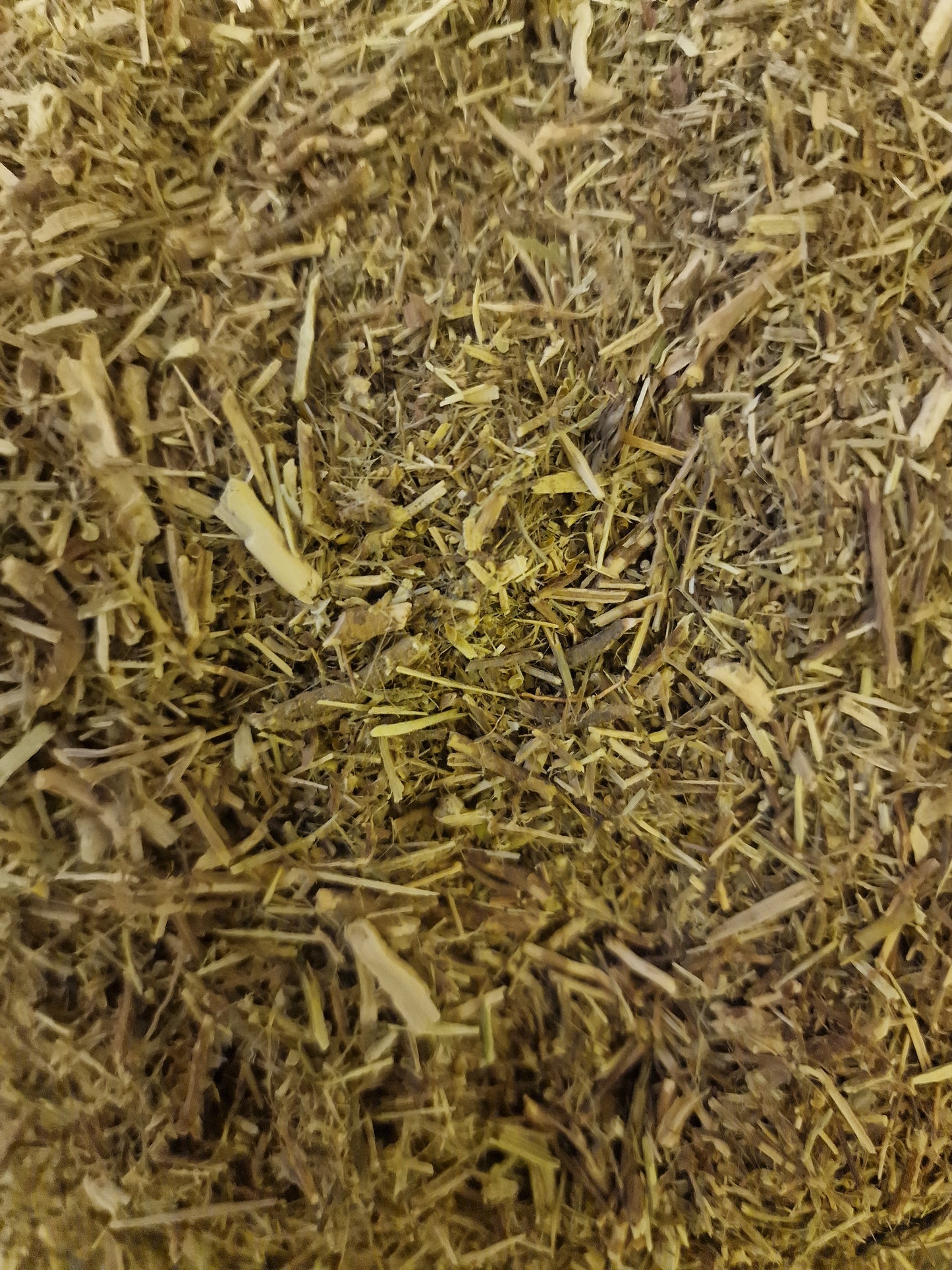 Quebra Piedra herb, dried and cut, loose herbal tea, an herbal remedy