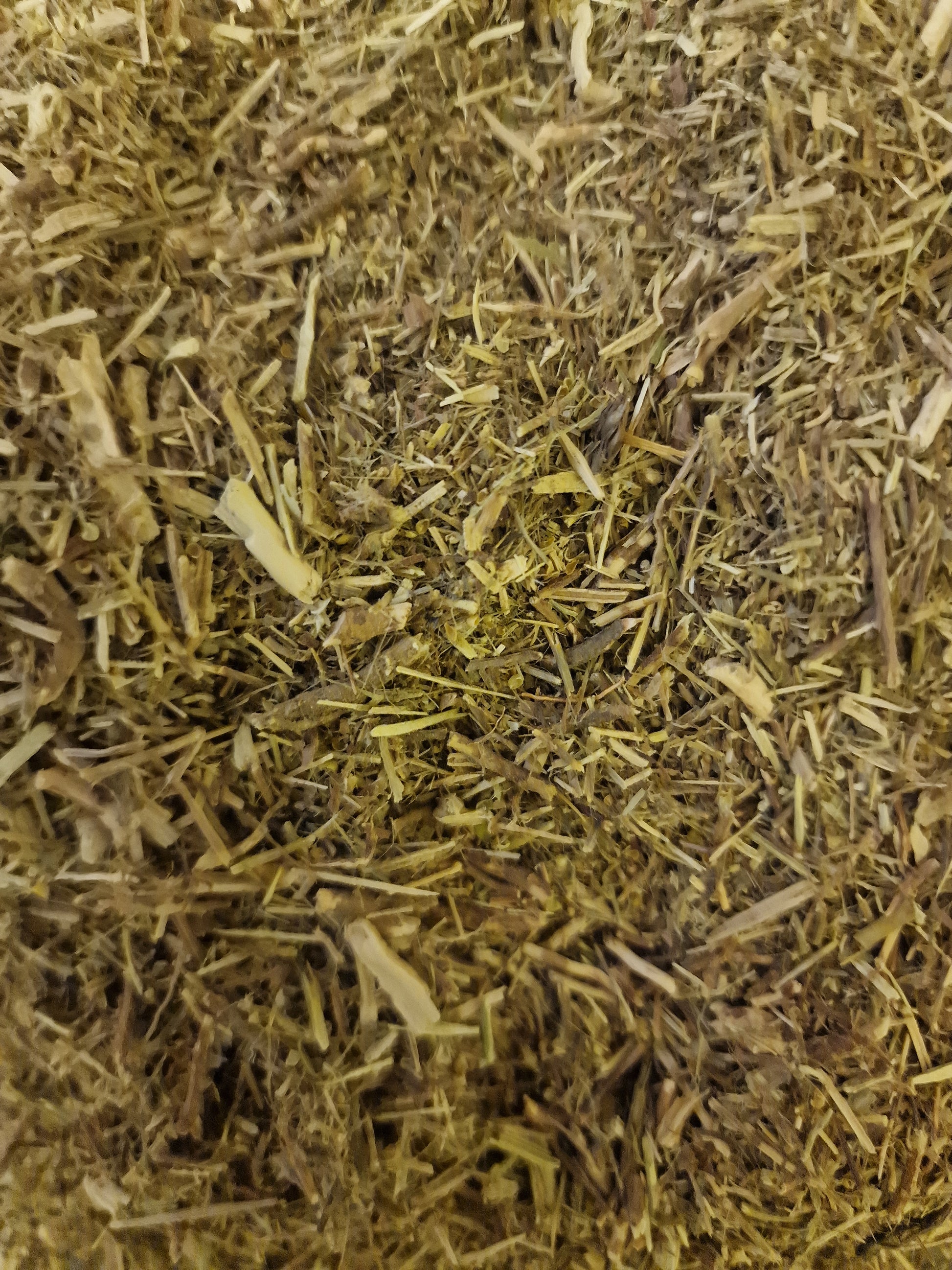 Quebra Piedra herb, dried and cut, loose herbal tea, an herbal remedy