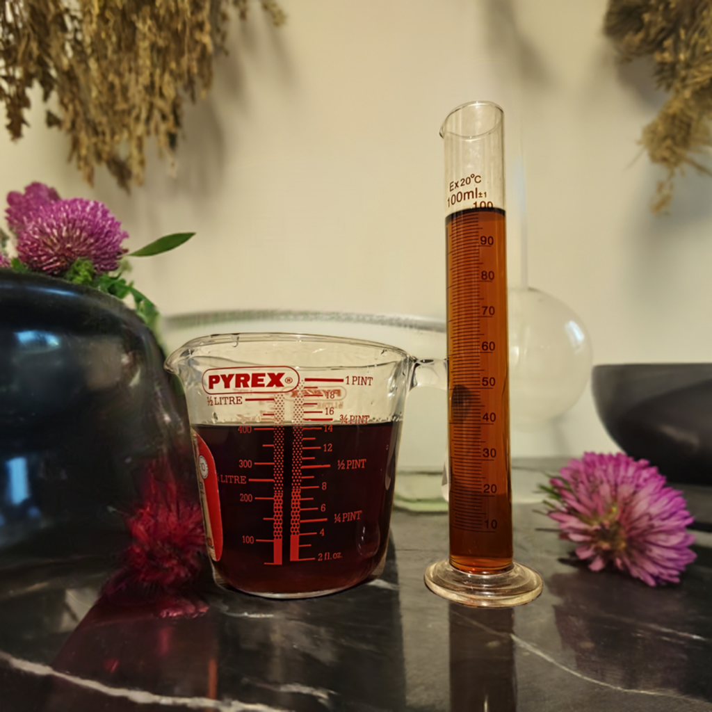 Red Clover fresh flower Tincture (Trifolium pratense - L.)