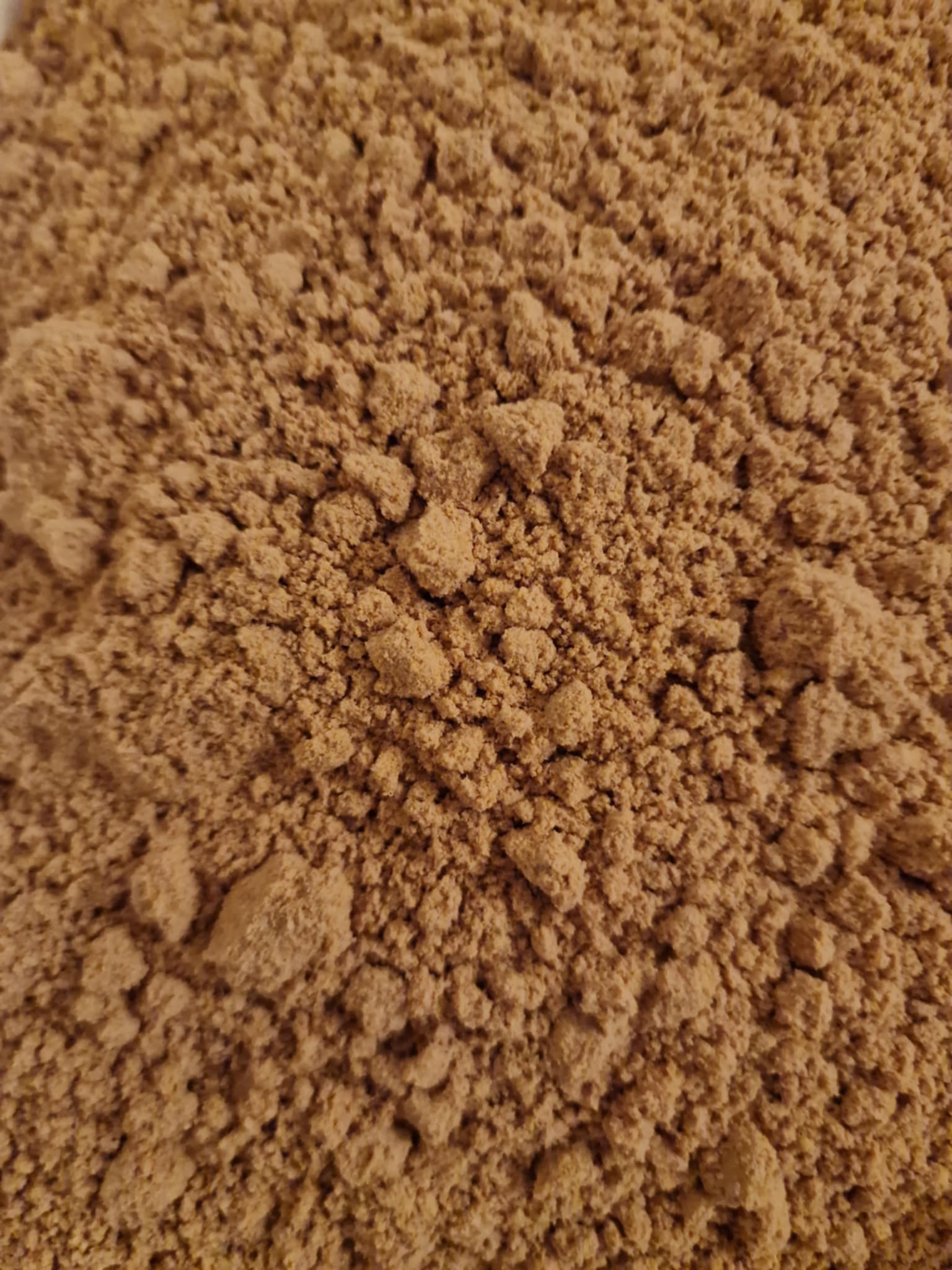 Close-up of Organic Rosehip Powder powder