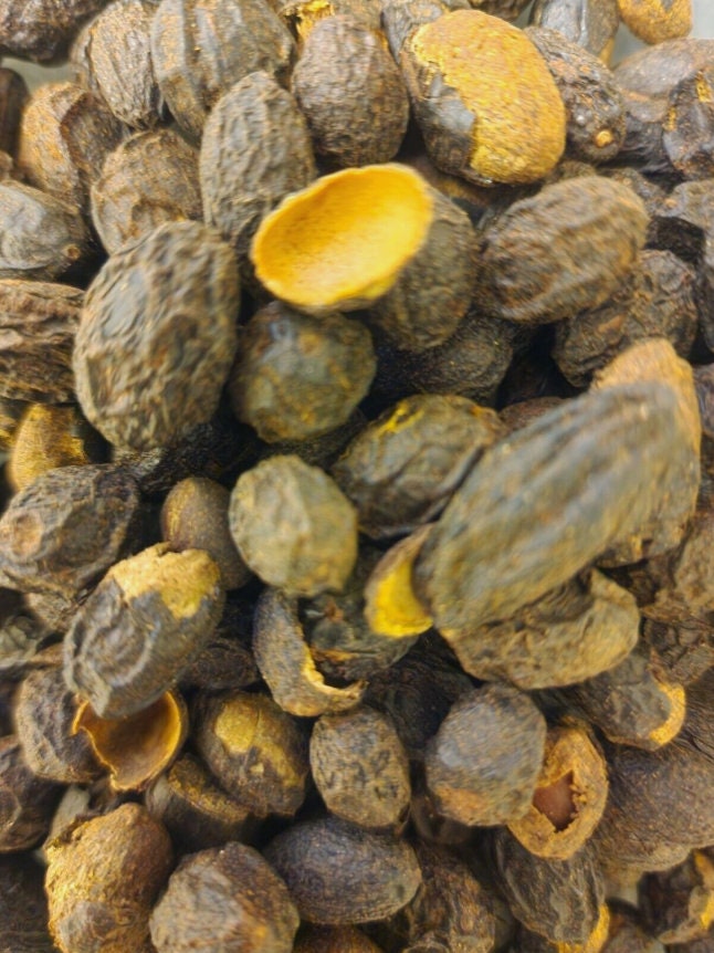 close up of Saw Palmetto berries whole pieces, an herbal remedy from Botanical Remedies herbal dispensary