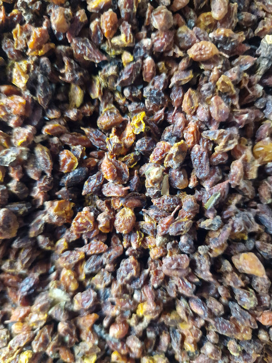 close up of Sea Buckthorn berries, an superfood and herbal remedy from Botanical Remedies herbal dispensary