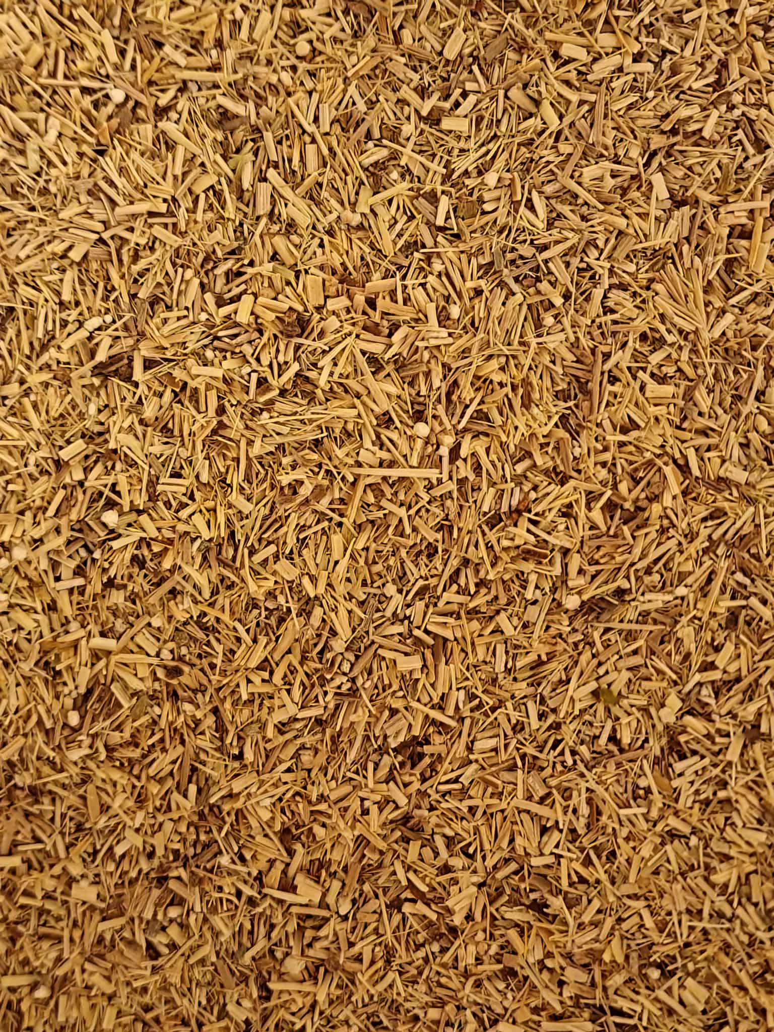 Close up of dried and cut Siberian ginseng root, loose herbal tea from Botanical Remedies herbal dispensary