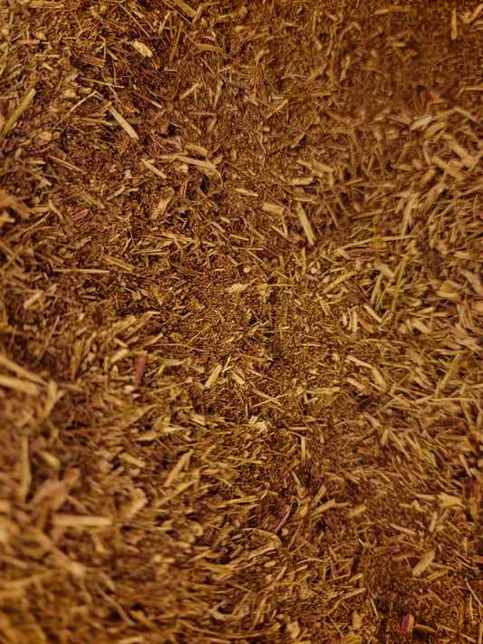 Close-up of sweet wormwood herb from Botanical Remedies herbal dispensary, an herbal remedy, loose herbal tea
