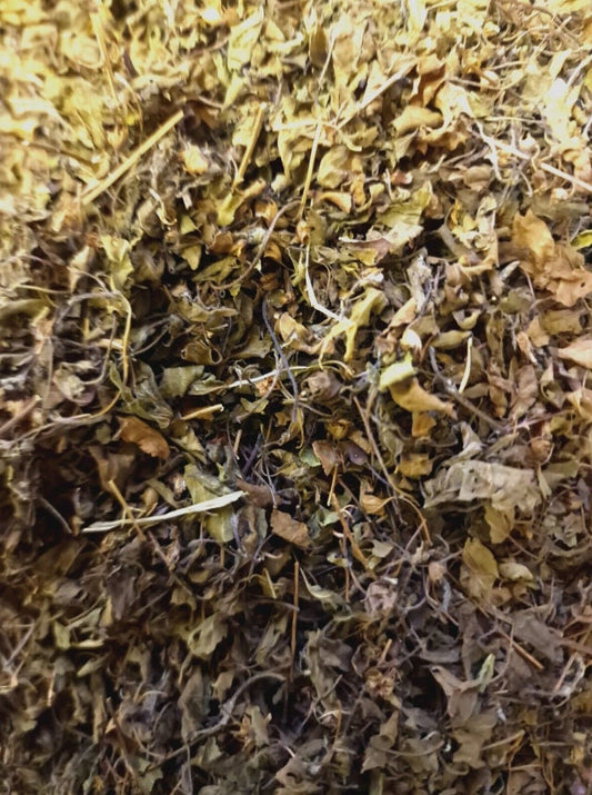 close up of dried Tulsi Holy Basil herb, an loose herbal tea from Botanical Remedies herbal dispensary