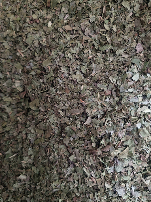 close up of dried and cut Walnut leaves, an loose herbal tea from Botanical Remedies herbal dispensary, an herbal remedy