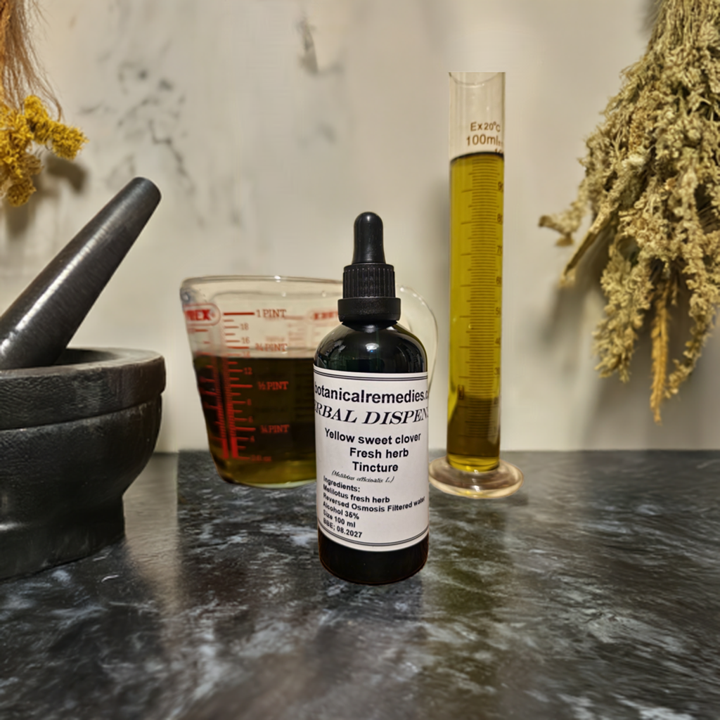 Yellow sweet clover fresh herb Tincture (Melilotus officinalis - Lam.)