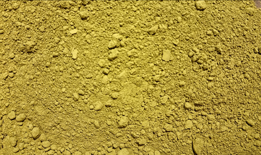 Japanese Matcha green tea powder (Camellia sinensis - (L.)Kuntze.)